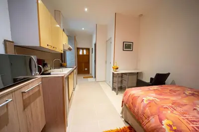 Cuisine ou kitchenette dans l'établissement Studio Premium City center