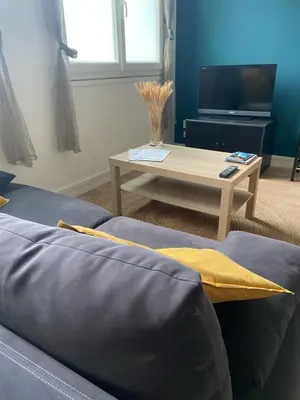Télévision ou salle de divertissement dans l'établissement Dijon - Grand studio proche parc Darcy & gare