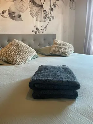 Un ou plusieurs lits dans un hébergement de l'établissement VerOliv Appartement calme et cosy proche du centre ville - Lit 180 - Wifi Netflix Youtube
