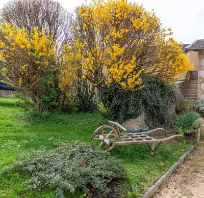 Jardin de l'établissement La Grange de Johanni