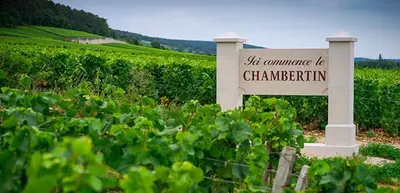 Certificat, récompense, panneau ou autre document affiché dans l'établissement Coeur Chambertin