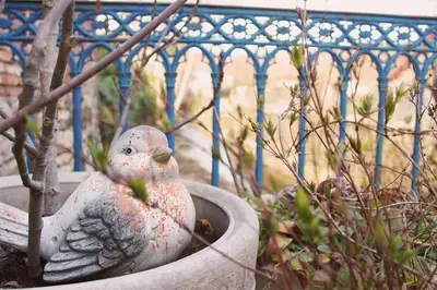 Jardin de l'établissement Gîte de charme en Hautes Côtes de Beaune