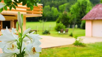 Jardin de l'établissement Maison bien être avec sauna - Gîte les 4 saisons - Lac de chalain