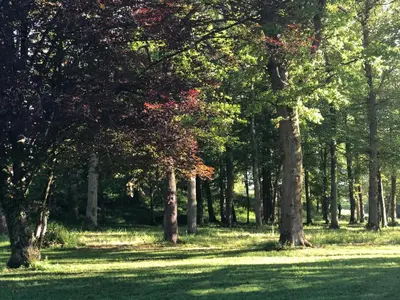 Jardin de l'établissement Le Mariotte et le Pralat