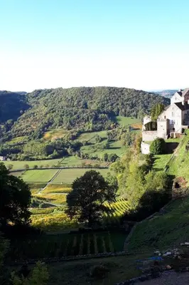 Paysage naturel près de l'appartement