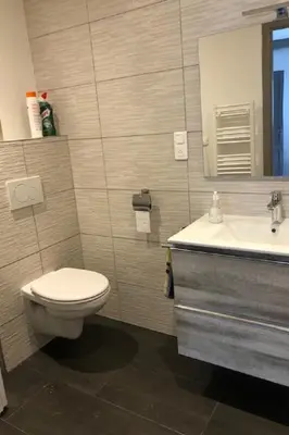 Salle de bains dans l'établissement Gîte Cascades des Tufs 2 pièces piscine