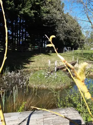 Paysage naturel près de la tente de luxe