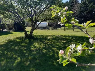 Jardin de l'établissement Roulotte irlandaise Polly