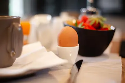 Nourriture dans l'appartement ou à proximité