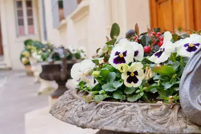 Jardin de l'établissement Suite Standing dans bel Hôtel Particulier